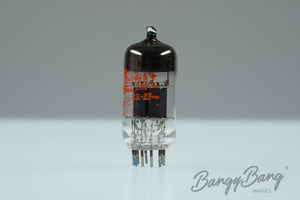 5755 RAYTHEON Audio Vacuum Tube Valve