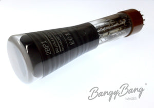 2BP1 Dumont Audio Vacuum Tube Valve