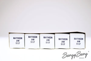 5517 Raytheon Audio Vacuum Tube Valve