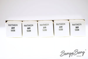 5636 Raytheon Audio Vacuum Tube Valve