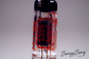 5643 RAYTHEON Audio Vacuum Tube Valve