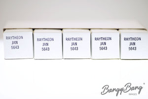 5643 RAYTHEON Audio Vacuum Tube Valve