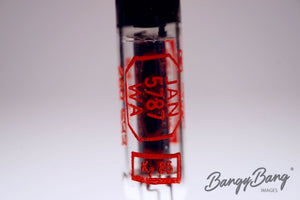 5787WA Raytheon Audio Vacuum Tube Valve