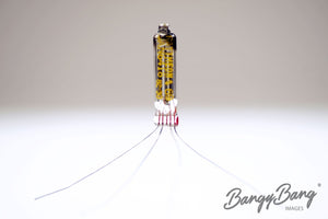 6418 Raytheon Audio Vacuum Tube Valve