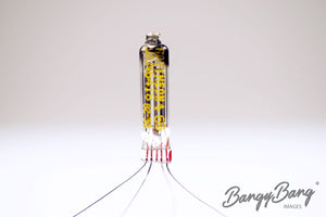 6418 Raytheon Audio Vacuum Tube Valve