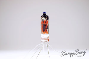 5840 RAYTHEON Audio Vacuum Tube Valve