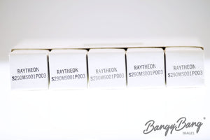 5840 RAYTHEON Audio Vacuum Tube Valve