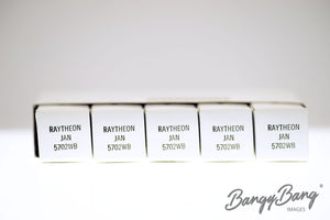 5702WB RAYTHEON Audio Vacuum Tube Valve