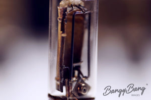 5583 RCA Audio Vacuum Tube Valve