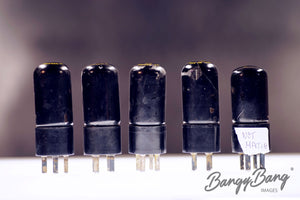 313CA Western Electric Audio Vacuum Tube Valve