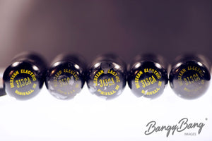 313CA Western Electric Audio Vacuum Tube Valve