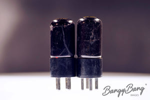 313CB Western Electric Audio Vacuum Tube Valve