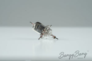 VT120 RCA Audio Vacuum Tube Valve