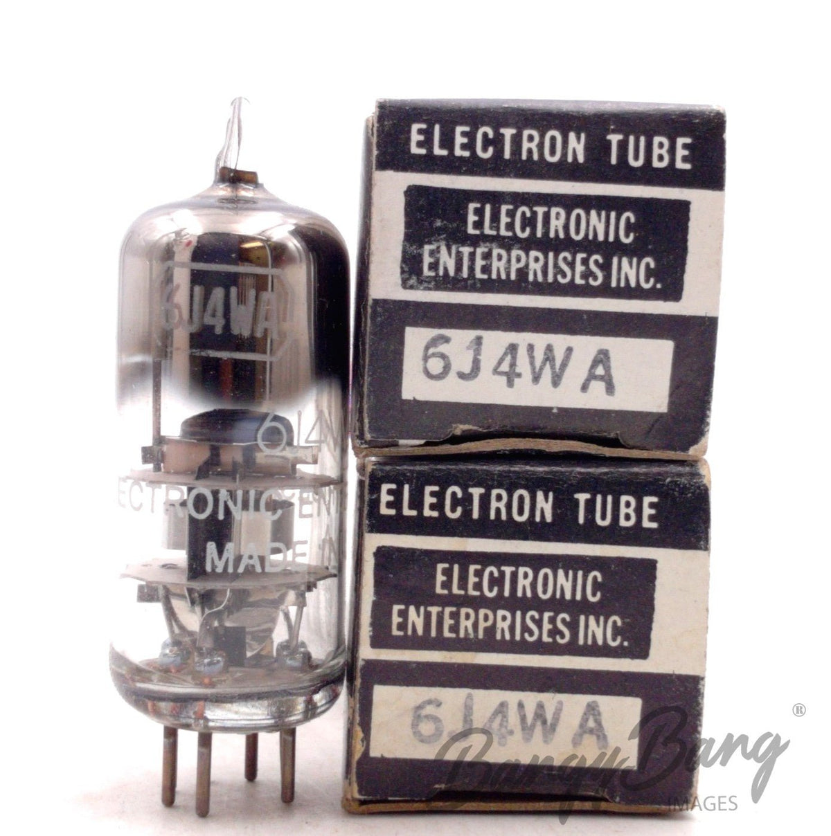 6J4WA Electronic Enterprises Audio Vacuum Tube Valve