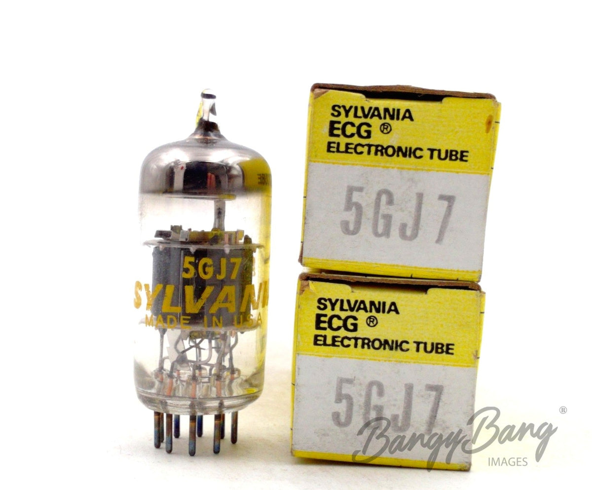 5GJ7 ECG Audio Vacuum Tube Valve