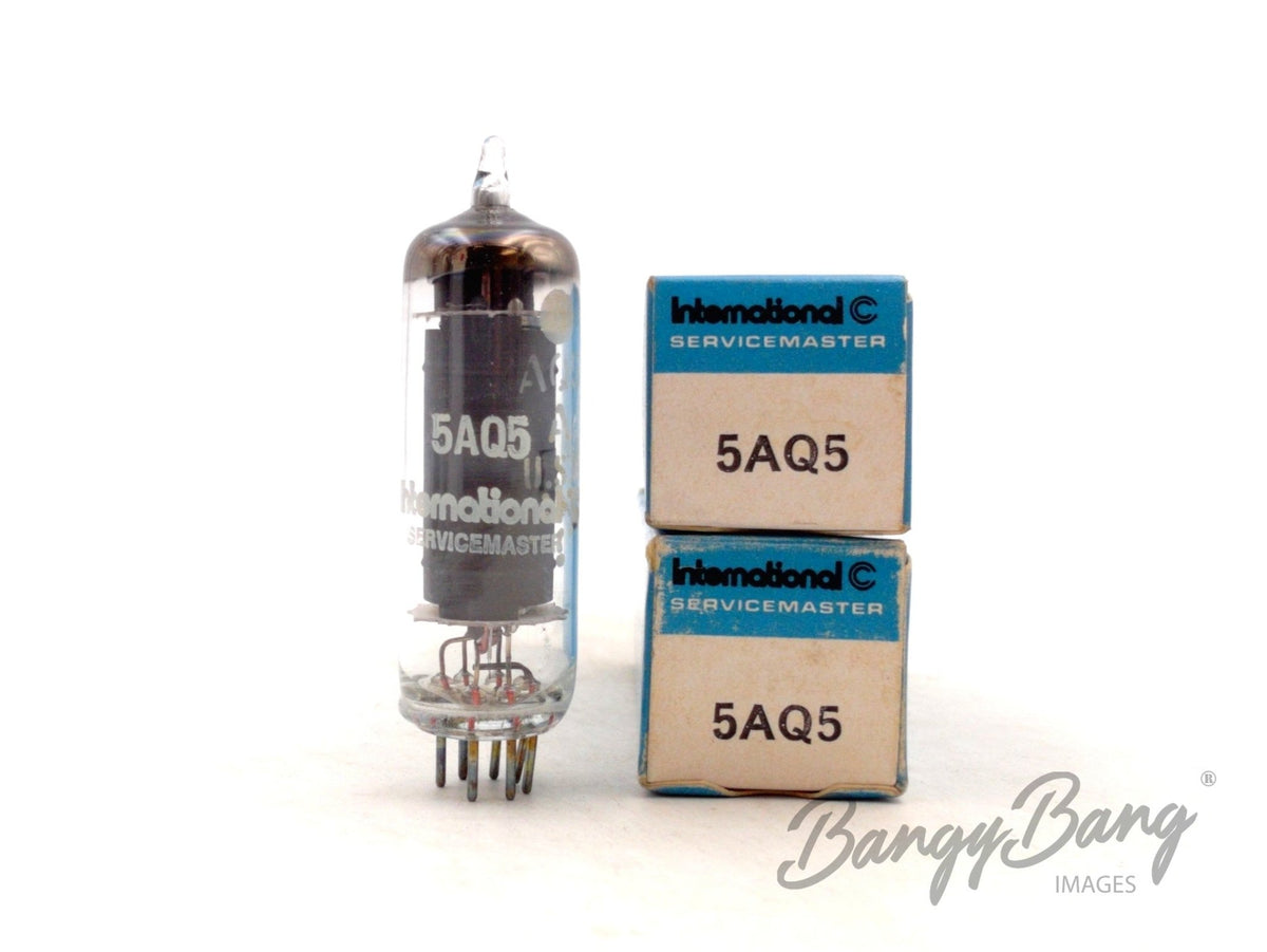 5AQ5 INTERNATIONAL Audio Vacuum Tube Valve
