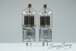 4B31 MU Audio Vacuum Tube Valve