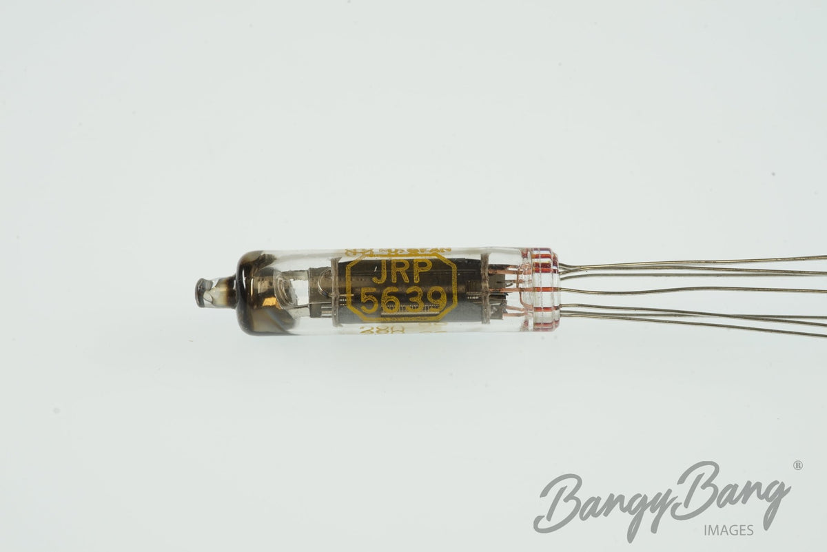 BodyScan RAYTHEON Audio Vacuum Tube Valve