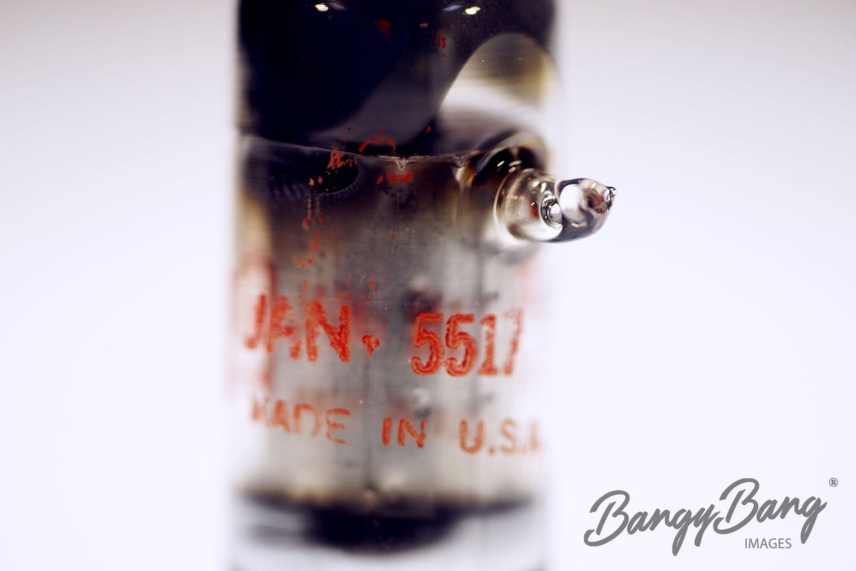 5517 Raytheon Audio Vacuum Tube Valve