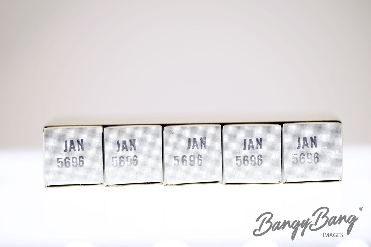 5696 General Electric Audio Vacuum Tube Valve