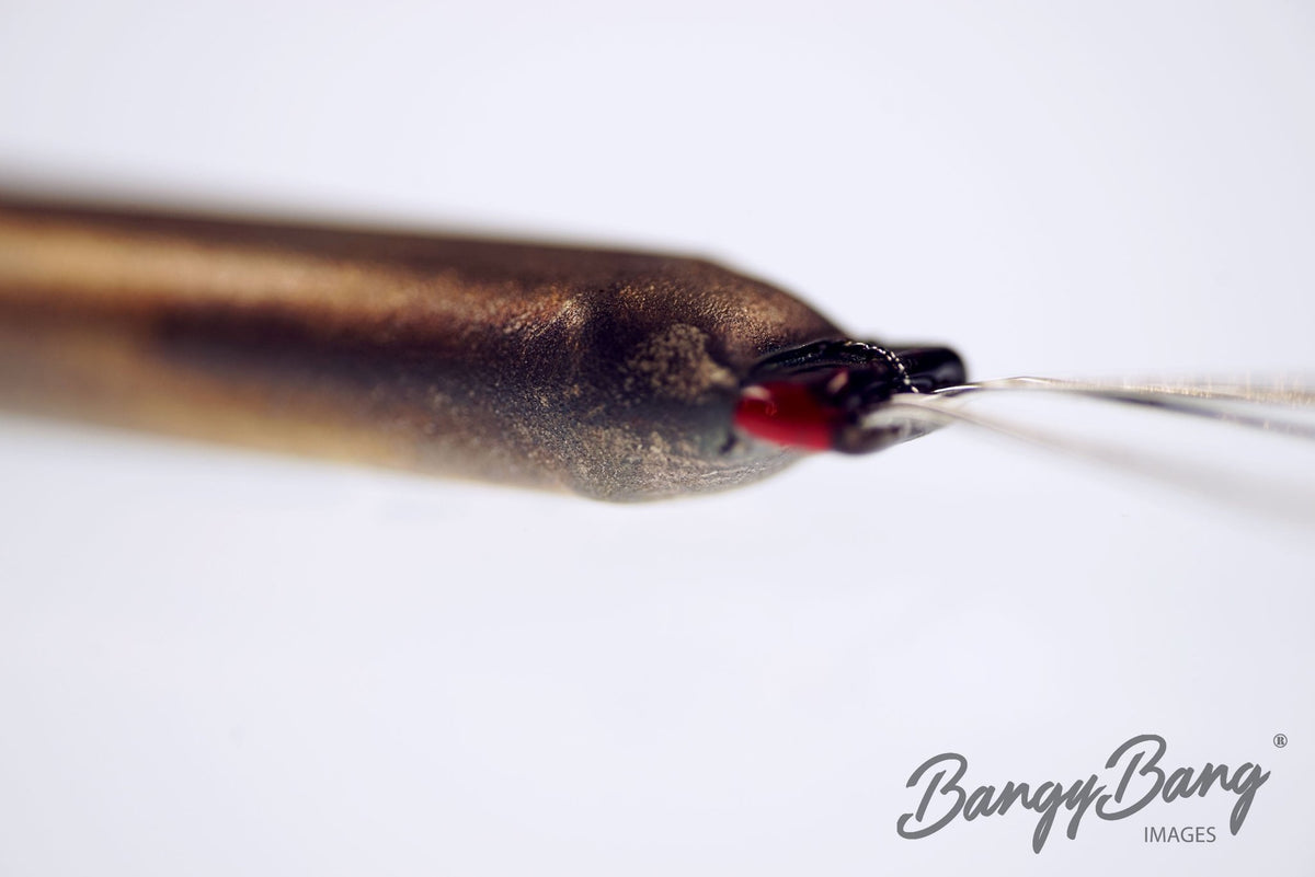 5678 Raytheon Audio Vacuum Tube Valve