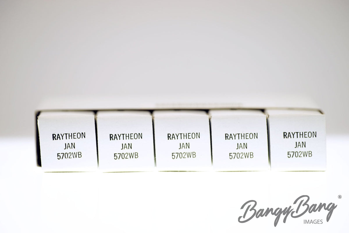 5702WB RAYTHEON Audio Vacuum Tube Valve