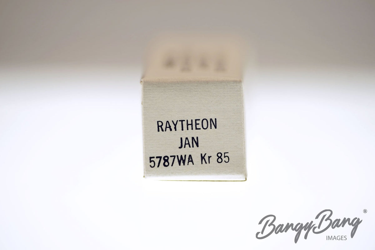 5787WA Raytheon Audio Vacuum Tube Valve