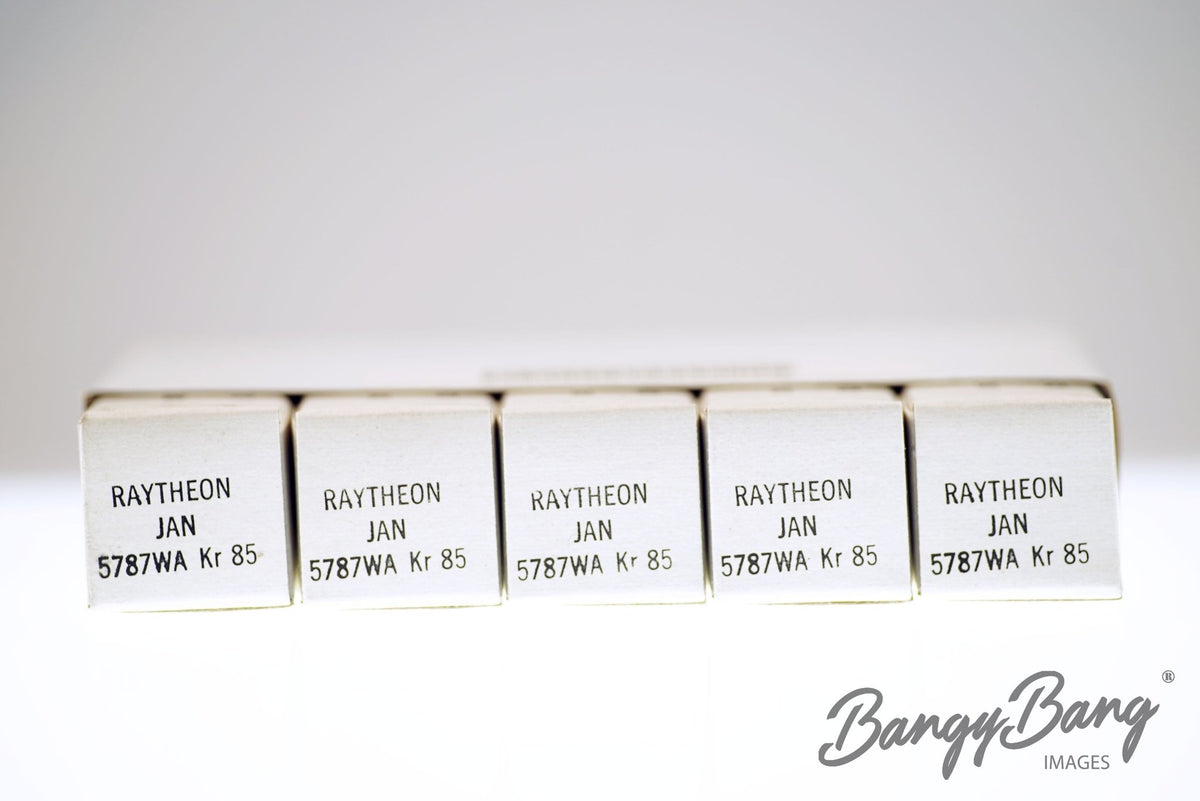 5787WA Raytheon Audio Vacuum Tube Valve