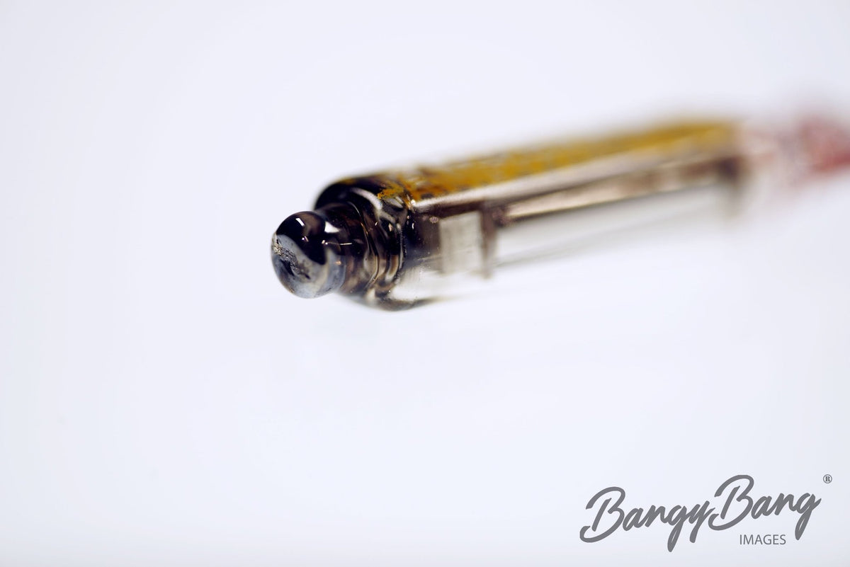 6418 Raytheon Audio Vacuum Tube Valve