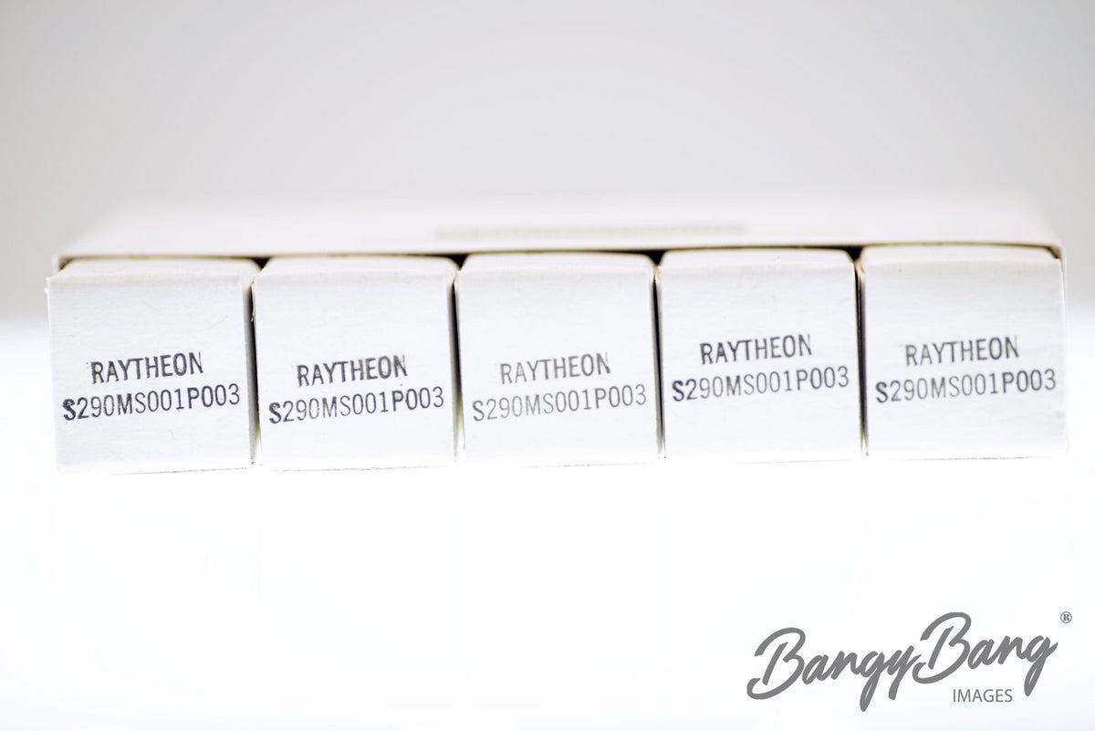 5840 RAYTHEON Audio Vacuum Tube Valve