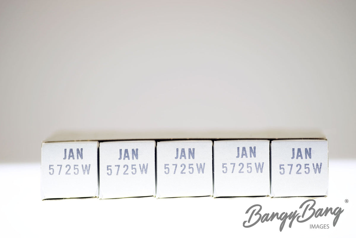 5725W General Electric Audio Vacuum Tube Valve