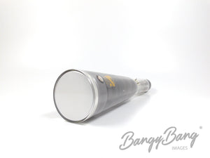 T317P2 GENERAL ATRONICS Audio Vacuum Tube Valve