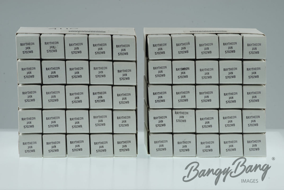 5702WB RAYTHEON Audio Vacuum Tube Valve