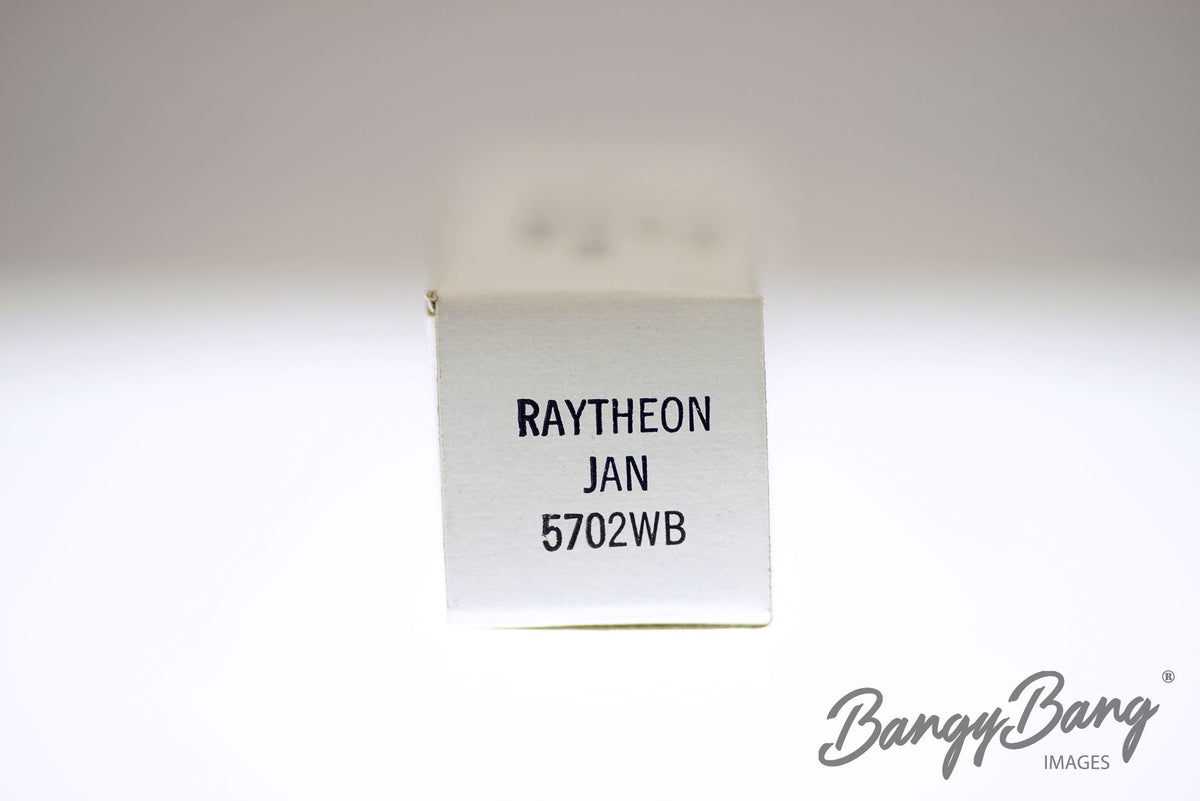 5702WB RAYTHEON Audio Vacuum Tube Valve