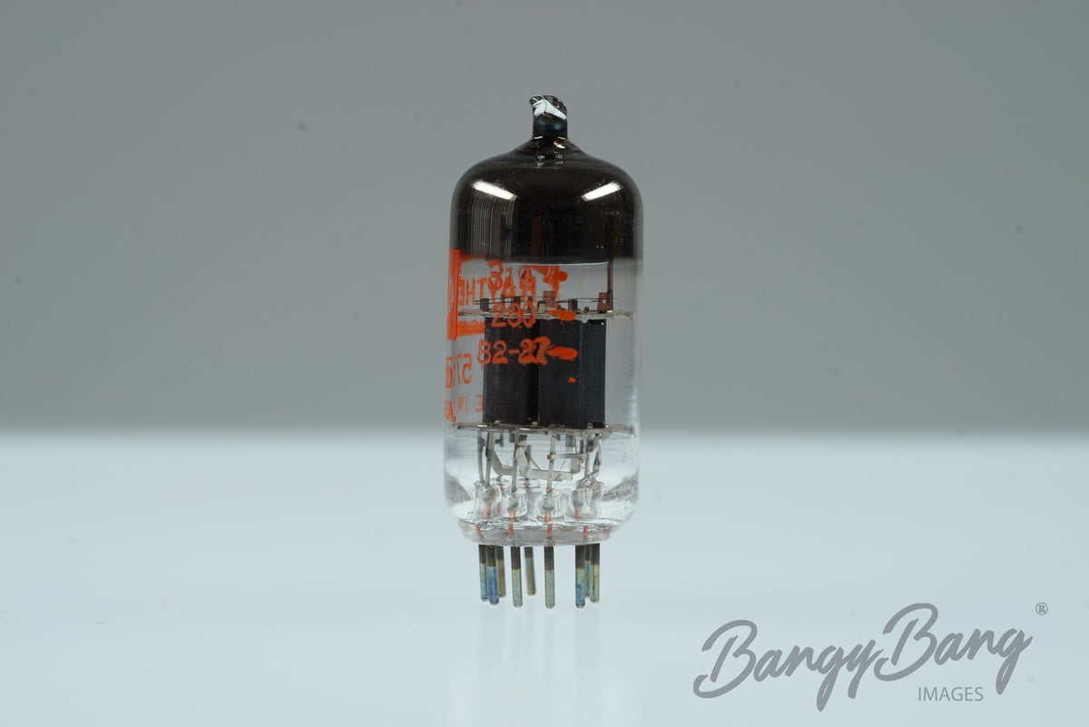 5755 RAYTHEON Audio Vacuum Tube Valve