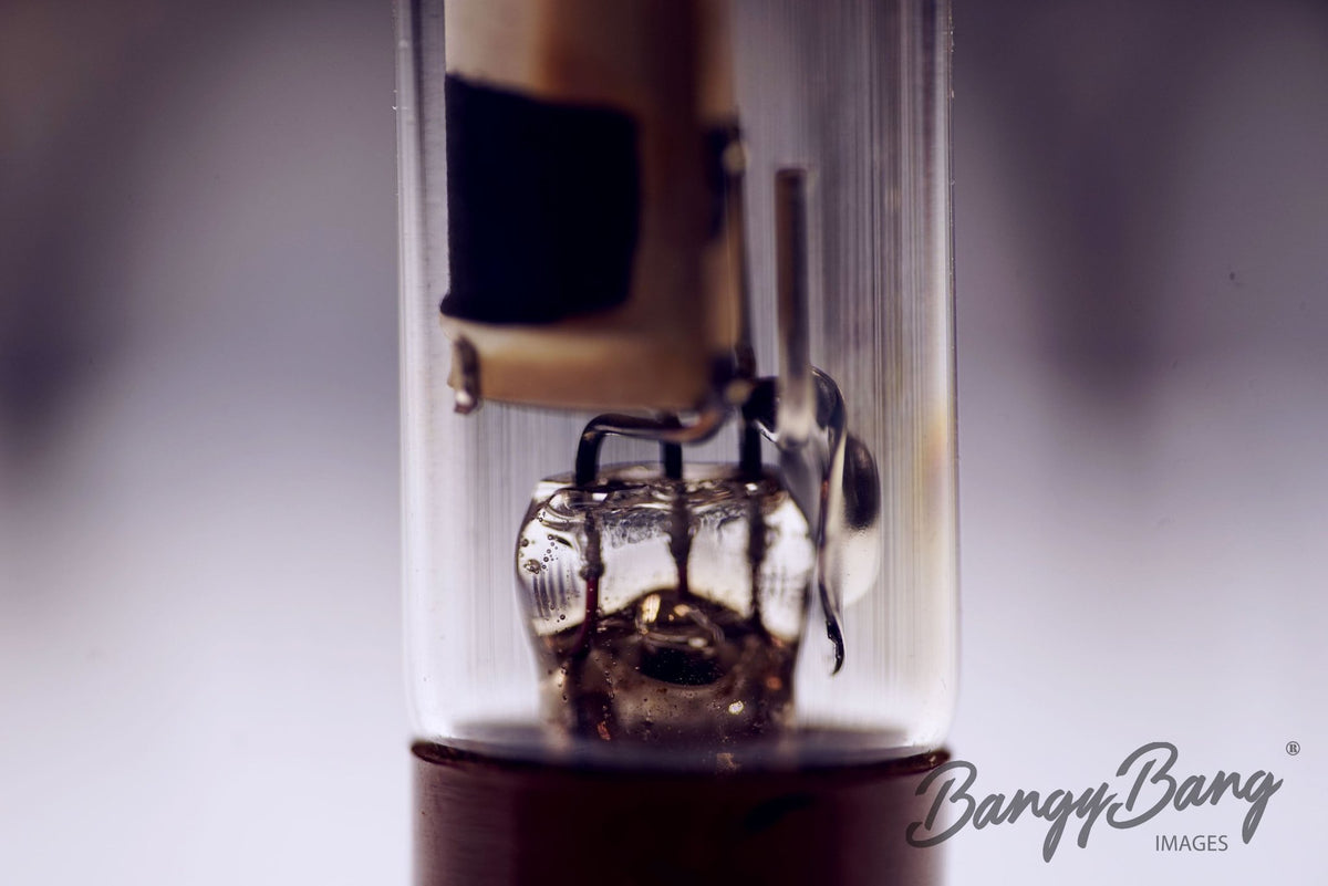 5583 RCA Audio Vacuum Tube Valve