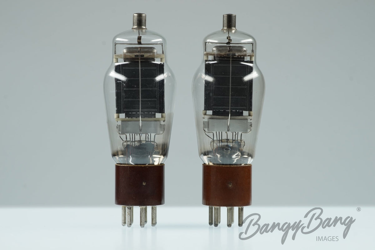VT101 Hytron Audio Vacuum Tube Valve
