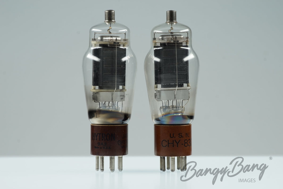 VT101 Hytron Audio Vacuum Tube Valve