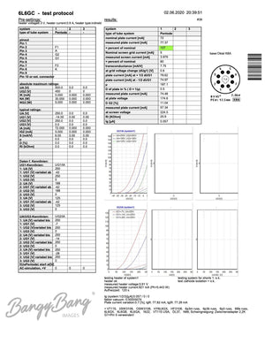 6L6GC JJ Audio Vacuum Tube Valve