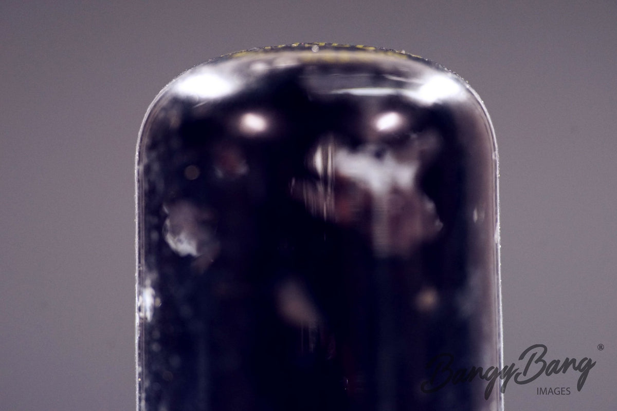 313CC Western Electric Audio Vacuum Tube Valve