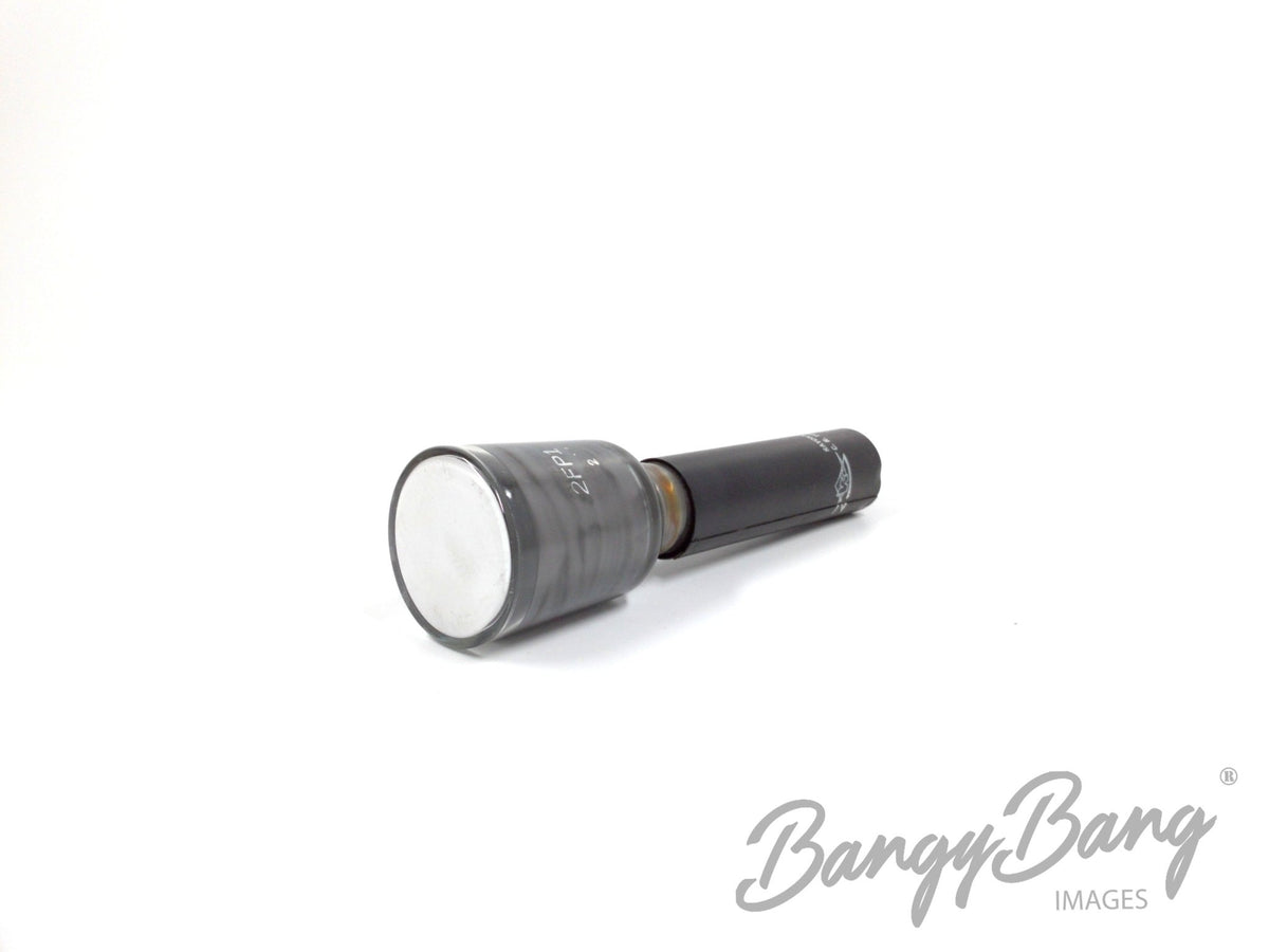 2FP1 Rayonic Audio Vacuum Tube Valve