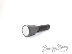 2FP1 Rayonic Audio Vacuum Tube Valve