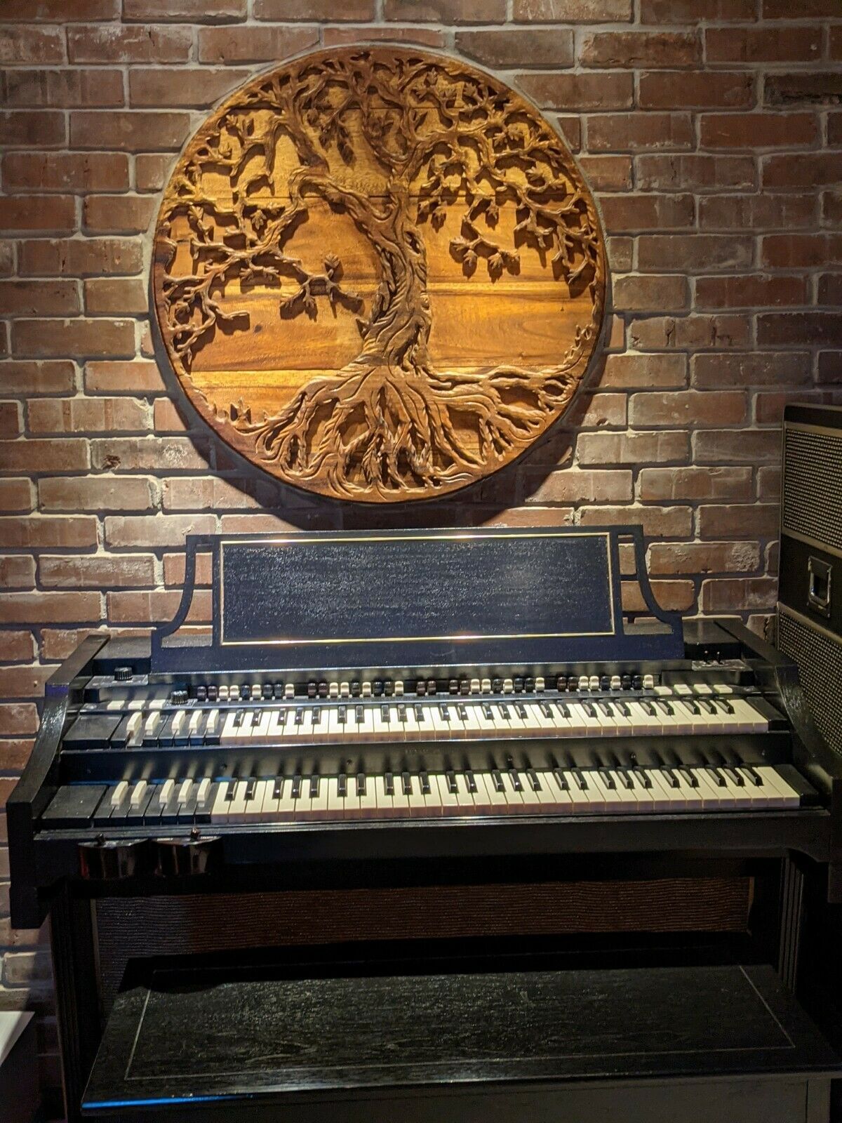 a100 Hammond Audio Vacuum Tube Valve