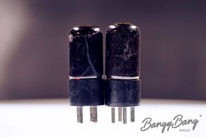 313CB Western Electric Audio Vacuum Tube Valve