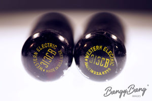 313CB Western Electric Audio Vacuum Tube Valve