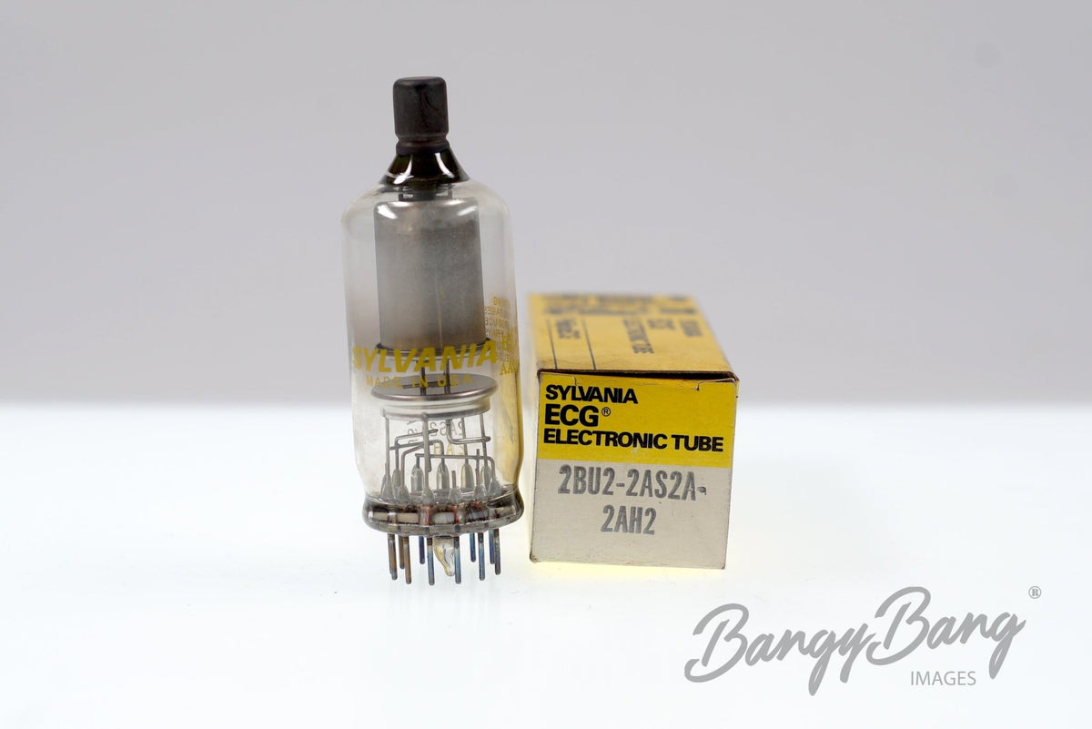 2BU2 ECG Audio Vacuum Tube Valve